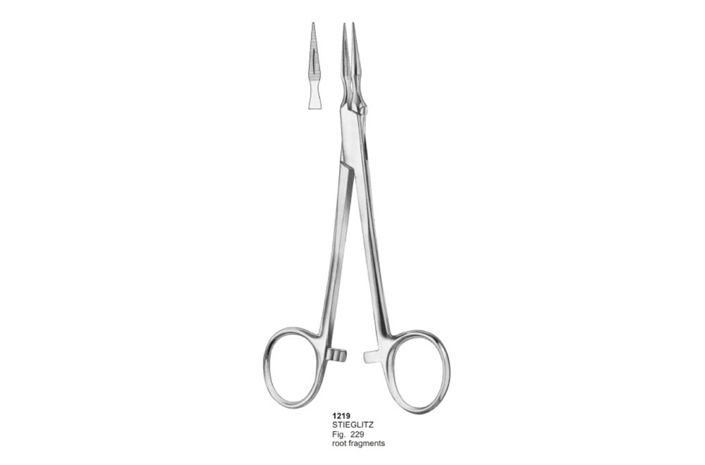 Stieglitz MHS World Instruments