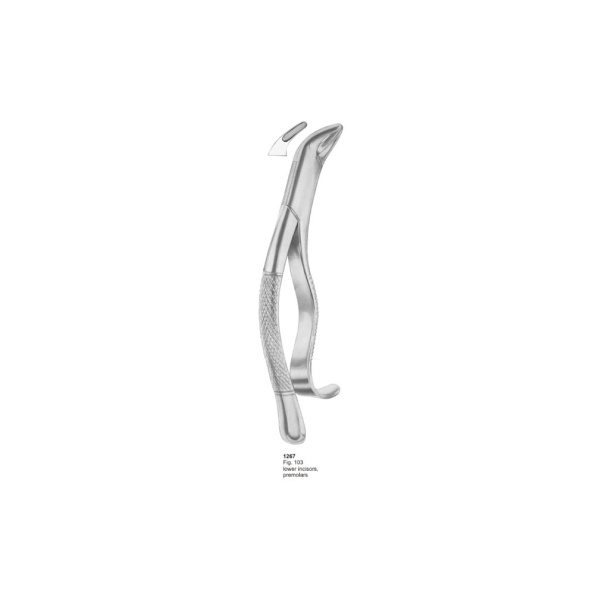 Hull Shell Instrument Hull – MHS World Instruments